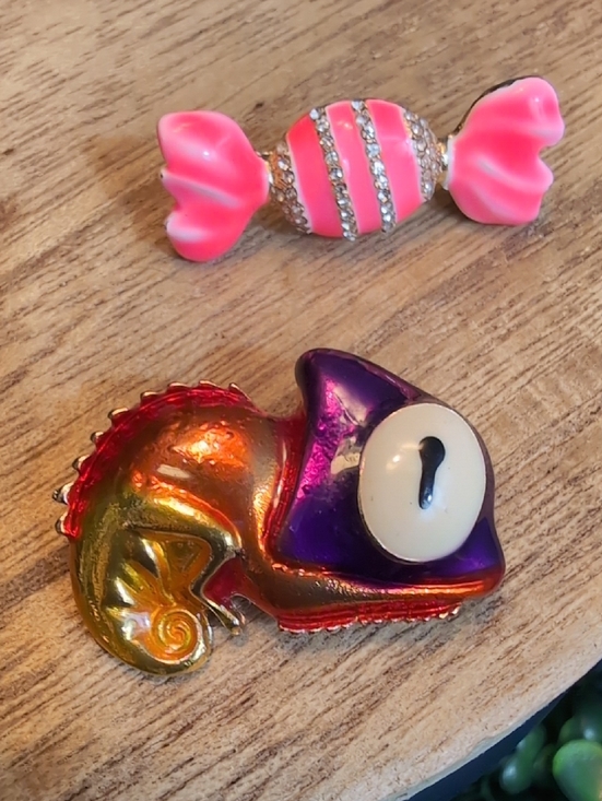 Jewelry - Colorful Chameleon Pin and Pink Candy Brooch Set